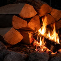 1 RM Buchenbrennholz 20 cm – Trocken & Ofenfertig | Hoher Heizwert