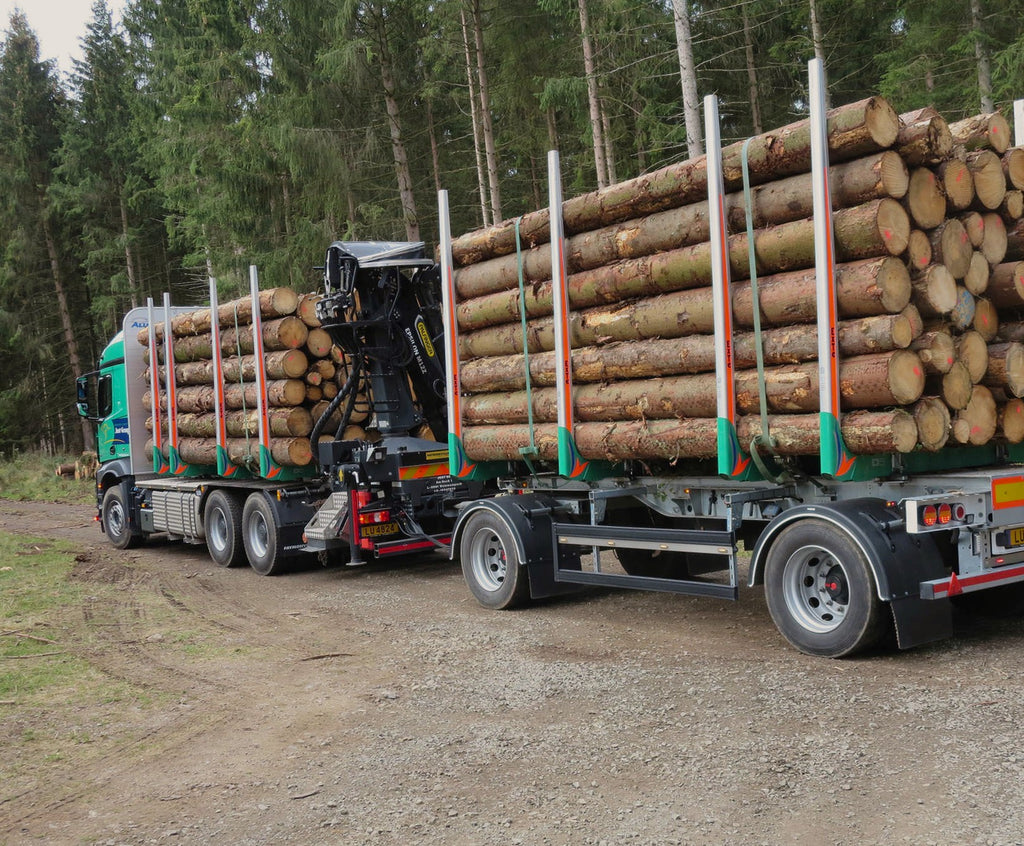 Premium Hartholzstämme – 60 m³ LKW-Ladung | Buche, Eiche & Hainbuche