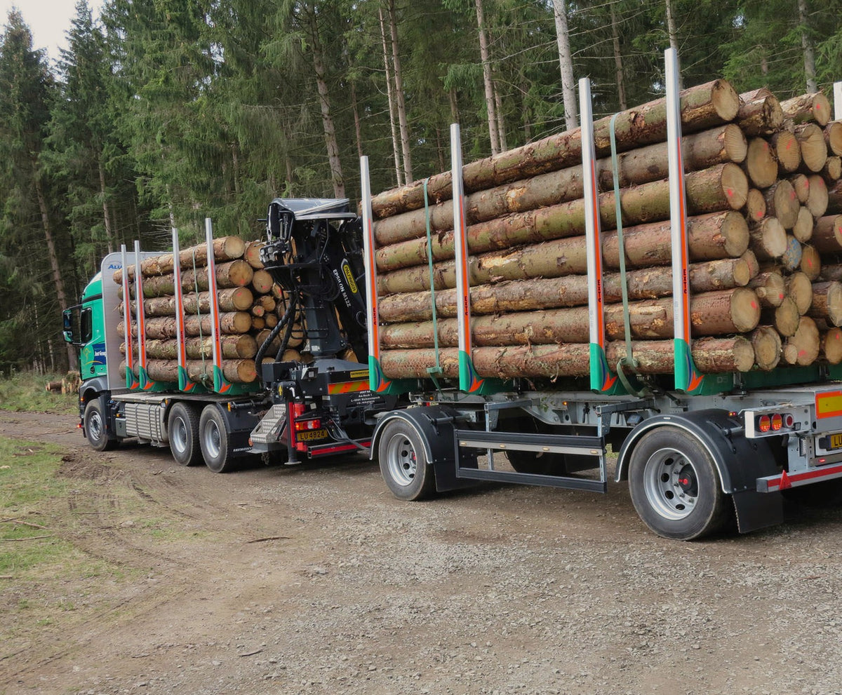 Premium Hartholzstämme – 60 m³ LKW-Ladung | Buche, Eiche & Hainbuche